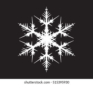 white snowflake on a black background