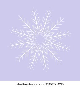white snowflake on a blue backgrund. Icon graphic