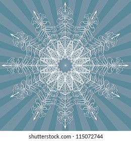 white snowflake on a gray