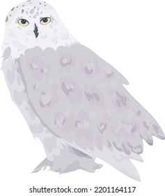 White snowy owl isolated on a white background. Vector illustration.