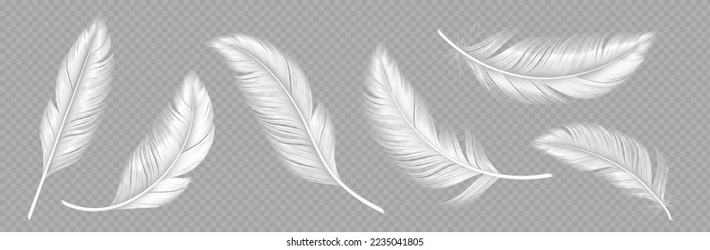 White soft feathers isolated on transparent background. Down or plume from wings of birds or angel, symbol of softness and purity. Realistic design elements, 3d vector illustration, icons set