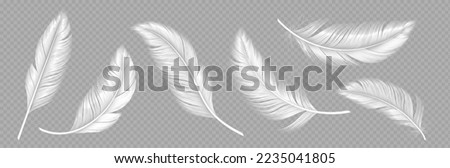 White soft feathers isolated on transparent background. Down or plume from wings of birds or angel, symbol of softness and purity. Realistic design elements, 3d vector illustration, icons set