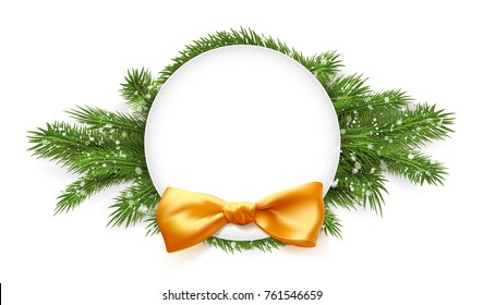 white space for text on spruce branches. vector Isolated on white background