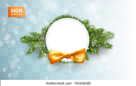 white space for text on spruce branches. vector Isolated on white background