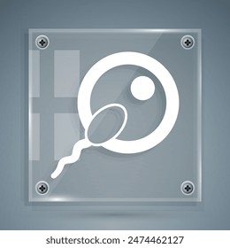 Icono de esperma blanco aislado sobre fondo gris. Paneles de vidrio cuadrado. Vector