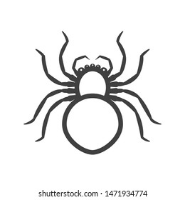 White spider icon. Vector on a white background.