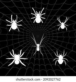 white spider logo collection with spider web background