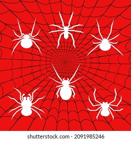 white spider logo set with spider web background