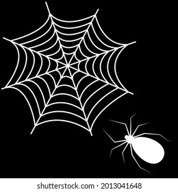 White spider web and spider isolated on black background. 