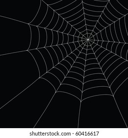 white spider web isolated on the  black background