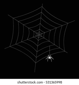 White spider web on a black background. Vector.