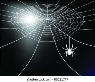 white spider web on a black background-vector