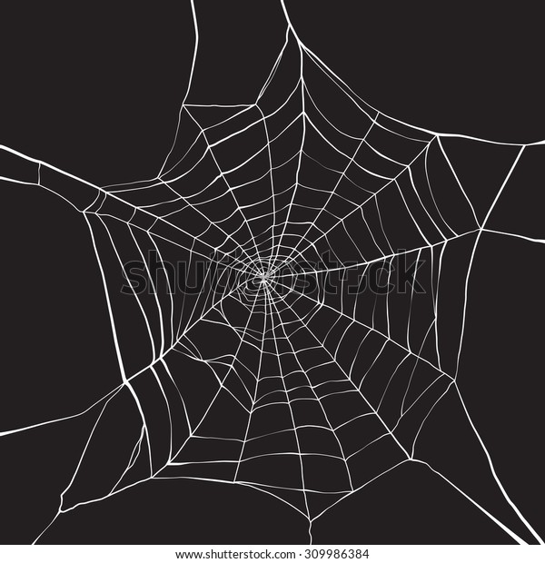 White spider web on dark\
background