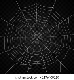 White spider web/cobweb. Isolated on dark black background vector illustration, eps 10. 