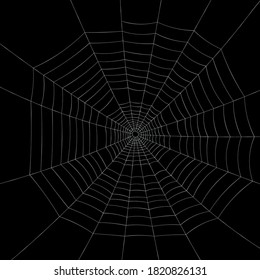 White spiderweb in the center of the picture without spiders on black background. Vector illustration.