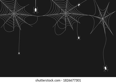 White spiderweb on black background. Halloween design elements. Spooky Scary horror decor vector.