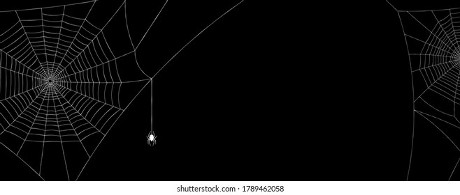 White spiderweb with spider and half of spiderweb on black background. Vector illustration.