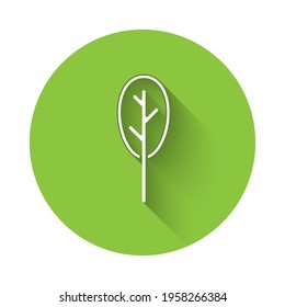 Icono de la Espinaca Blanca aislado con una sombra larga. Botón Círculo verde. Vector