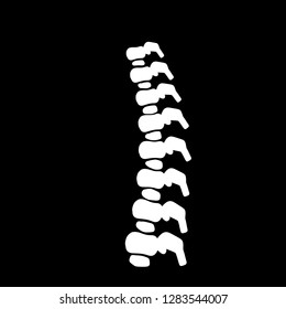 White spine on a black background. Intervertebral disc. The bones in the back. Medical care and x-rays of the internal organs. Cartoon flat illustration