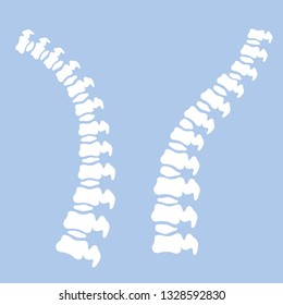 White spine on a blue background. Intervertebral disc. The bones in the back. Medical care and x-rays of the internal organs. Cartoon flat illustration. Poor posture