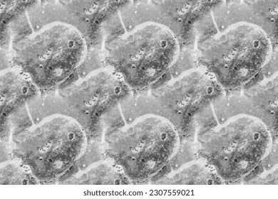 White Splash Background. Grey Grey Color Repeat Paint. Grey Science Pattern. Light Gray Ink Science. White Seamless Science. Light Light Vector Grunge. Light Tile Stone. Modern Abstract Painting.