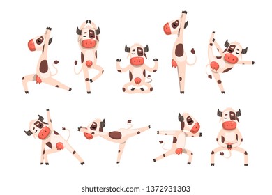 White spotted cow set, farm animal character doing sport exercise vector Illustrations on a white background