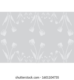  white spring background or summer background with fresh flower