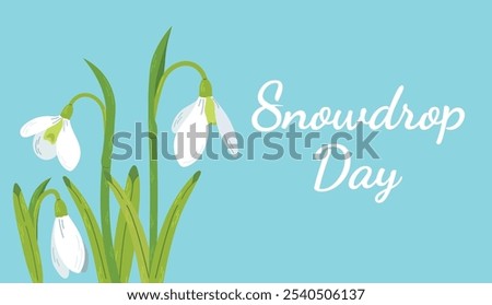 White spring flowers. Happy Snowdrop day. Flowers white snowdrops with leaves. Spring is coming. Snowdrop day. Vector illustration isolated on a blue background. Spring wildflower. Beautiful nature