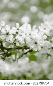 White spring flowers on a branch of pear. Blurred front and rear background.