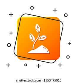 White Sprout icon isolated on white background. Seed and seedling. Leaves sign. Leaf nature. Orange square button. Vector Illustration