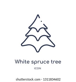 white spruce tree icon from nature outline collection. Thin line white spruce tree icon isolated on white background.