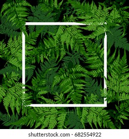 marco cuadrado blanco en hojas tropicales, ilustración vectorial de plantas de helecho