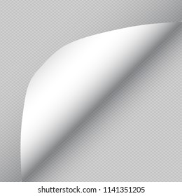 White squared paper with curled corners for text or advertising message