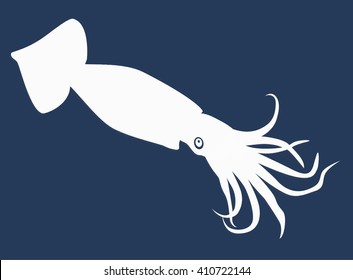 White squid isolated on a blue background. Vector Illustration