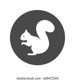 White squirrel. Vector illustration.