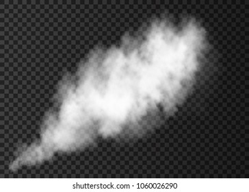 透明な背景に白い煙のパフ 蒸気爆発特殊効果 リアルなベクトル火のフォグまたはミストテクスチャ のベクター画像素材 ロイヤリティフリー Shutterstock
