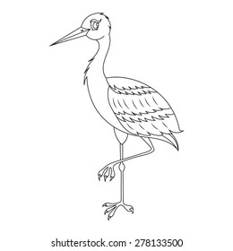 White stork