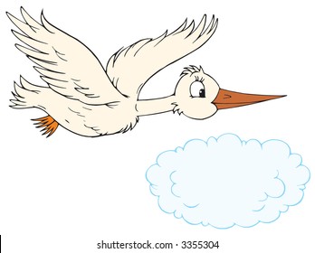 White stork