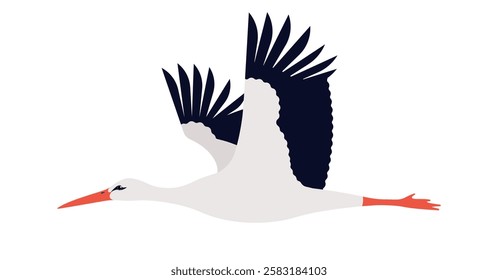 White stork bird. Flying in the sky bird - long neck, red beak, wings spread. Simplicity vector illustration, isolated on white background.