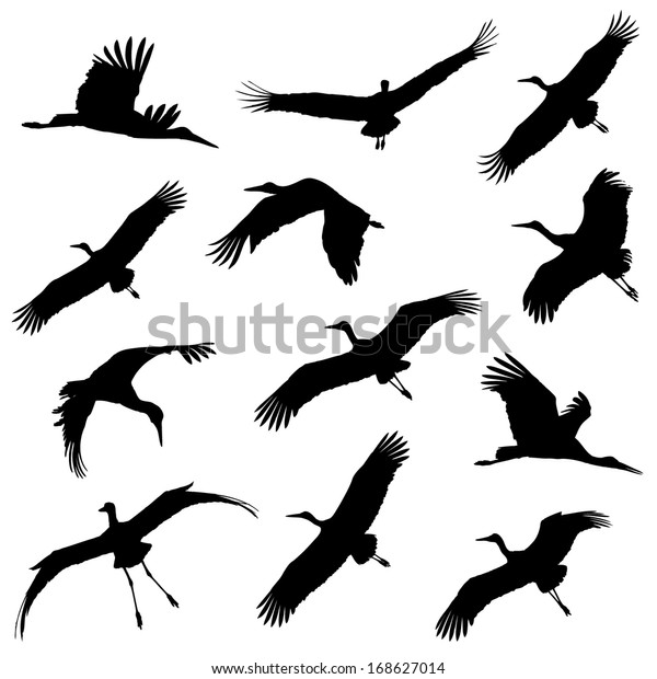 White Stork Flight Silhouettes Stock Vector (Royalty Free) 168627014