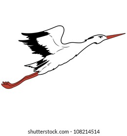 White Stork in flight. vector illustration.