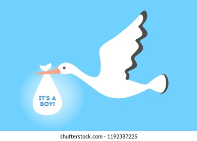 White stork flying with newborn baby. Child birth announcement. Greeting card for baby born celebration. It is a boy. Isolated flat vector illustration