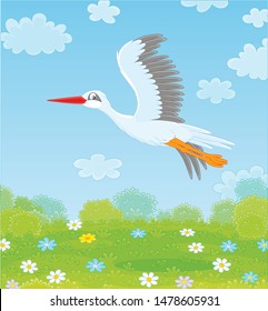 White stork flying over a green meadow with colorful flowers on a sunny summer day, vector illustration in a cartoon style