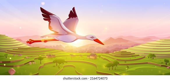 White stork flying in sky at sunset or sunrise. Beautiful wild bird over natural landscape with Asian rice field terraces in mountains. Scenery summer wildlife background, Cartoon Vector illustration