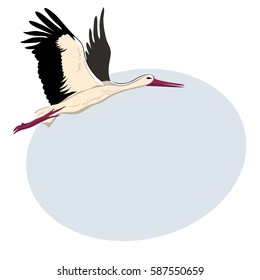 White stork flying (up wings). A beautiful white stork sketch style , side view, vector illustration isolated with place for text. 