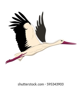 White stork flying (up wings). A beautiful white stork sketch style, side view, vector illustration isolated.