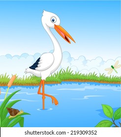 White stork searching food 