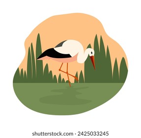 White stork stands on one leg in marshland vector illustration. Simple flat design depicts ciconia in reeds and swamp habitat isolated on background.