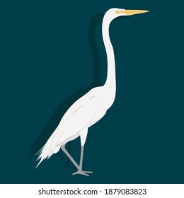 White stork vector art and graphics