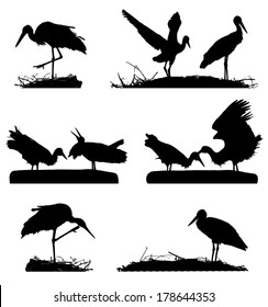 White Storks on the nest silhouette